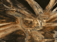 諾貝爾瓷磚“尋紋記”系列產(chǎn)品斬獲2022年度金磚設(shè)計(jì)大獎(jiǎng)