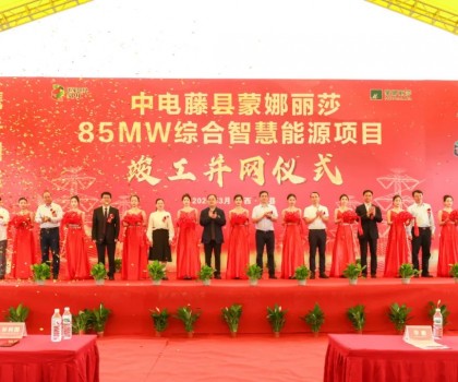 廣西最大工商業(yè)屋頂光伏項目在蒙娜麗莎正式并網啟用！