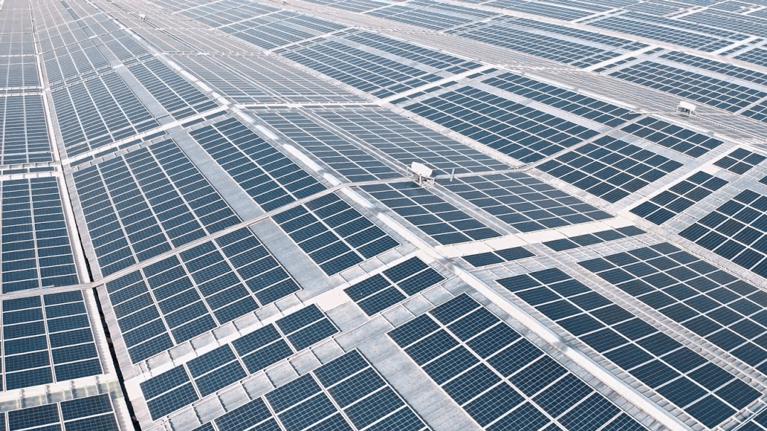 1683364665475941.png 圖片 2.png