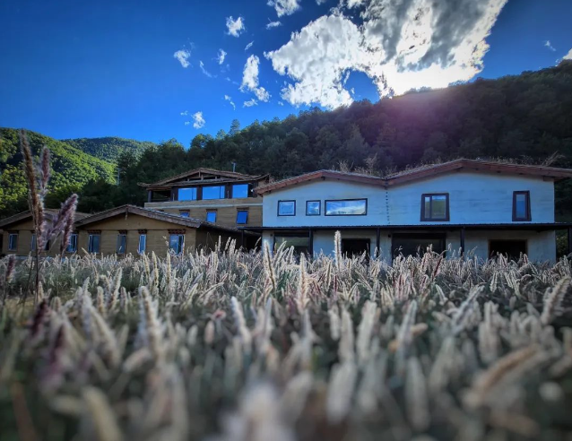 1699943232923321.png image.png