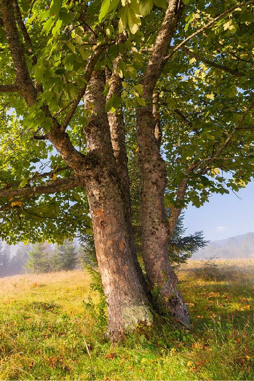 1705290541944975.png 640 (2).png