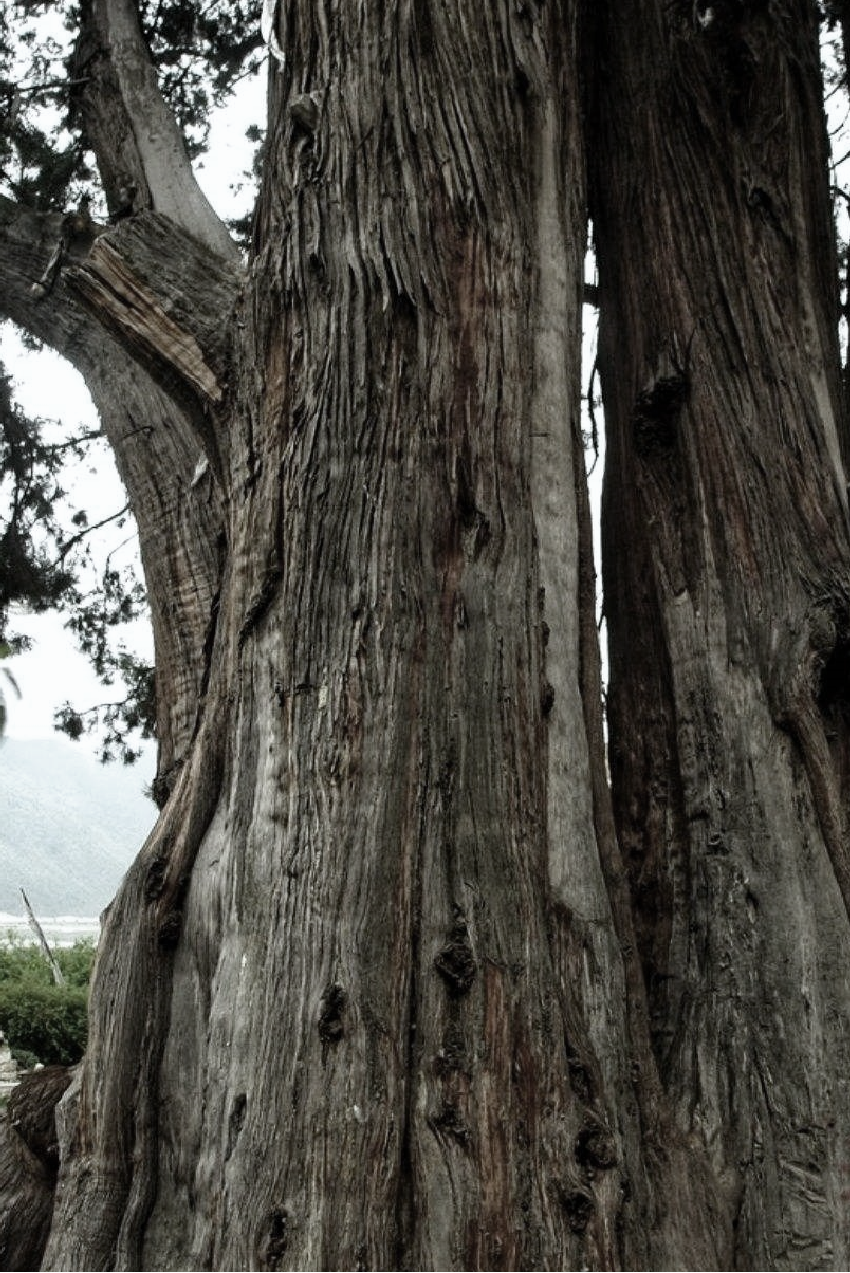 1705290608773956.png 640 (3).png