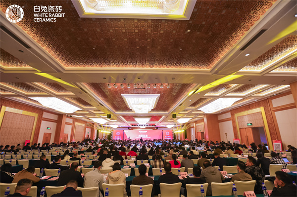 1709884452818856.jpg 1.JPG