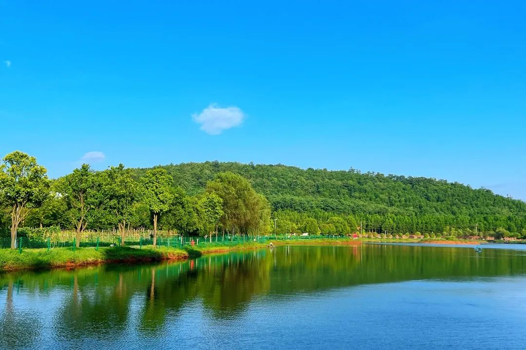 1719565685718350.png 圖片6.png