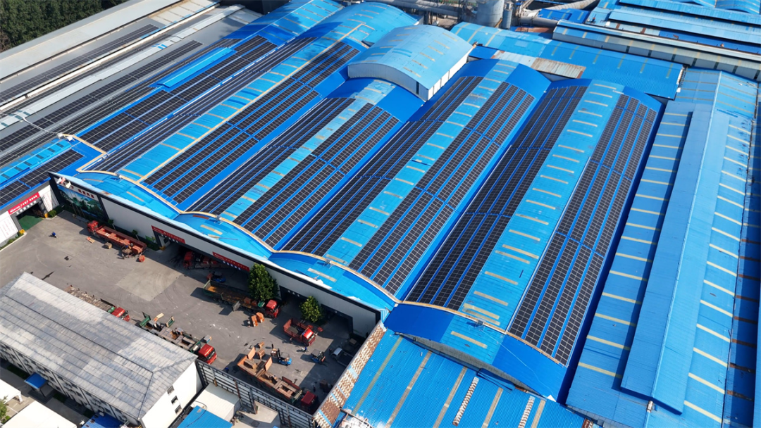 1722845089699106.jpg 1722672218784409.jpg