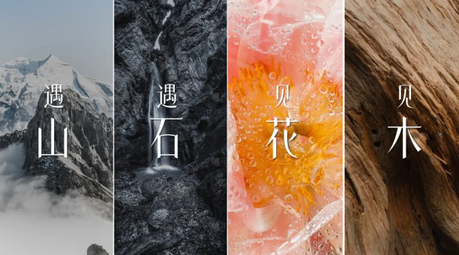 1728366945999960.png image.png